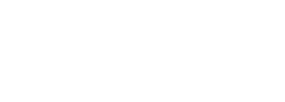 VIKSYL